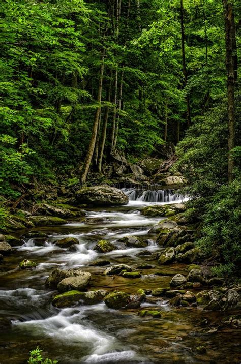 Vertical Photograph Of Deep Woods Stream In The Smoky Mountains Stock