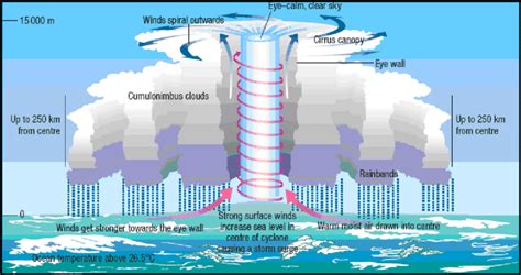 Organized systems of clouds and thunderstorms that form over warm waters and rotate. 1. Schematic showing some variables contributing to the formation of a... | Download Scientific ...