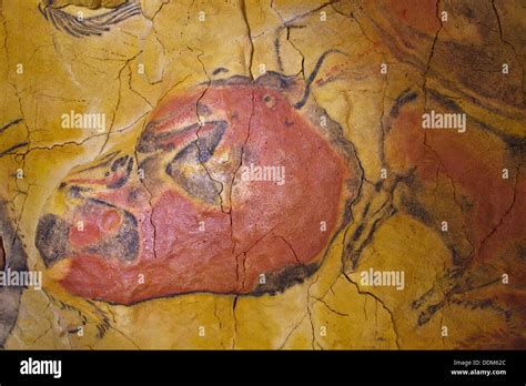 Höhlenmalerei Steinzeit Altamira Fotos Und Bildmaterial In Hoher