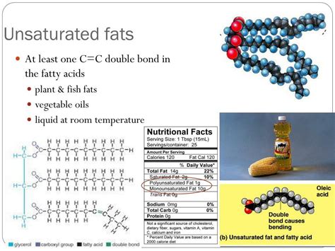 Ppt Intro To Organic Molecules And Lipids Powerpoint Presentation Id