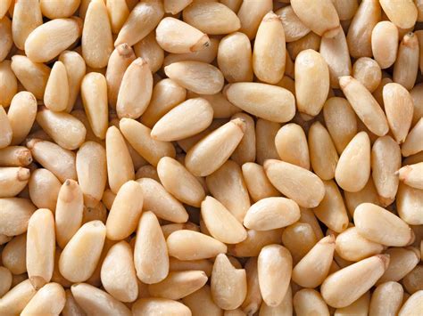 What Are Pine Nuts And Why Are They So Expensive