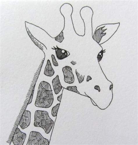 A Drawing Of A Giraffes Head Is Shown