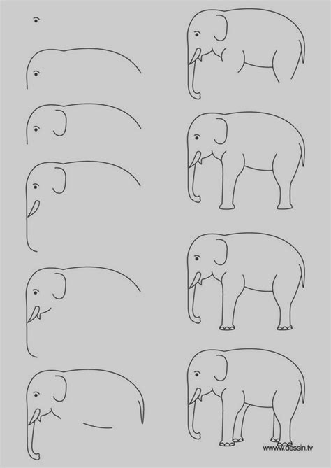 6 step:3 erase in the left to the shape of small circle. 15+ Easy Step By Step Art Drawings To Practice Tutorials ...