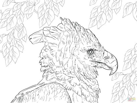 We did not find results for: Golden Eagle Coloring Page at GetColorings.com | Free ...