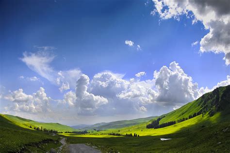 Free Images Landscape Nature Grass Horizon Field Meadow