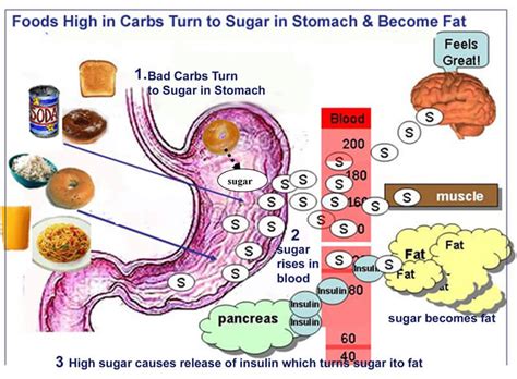 During digestion, the body converts carbs to glucose, which is then moved through the bloodstream. HCG Diet: No Bad Carbs That Turn to Sugar & Cause Hunger