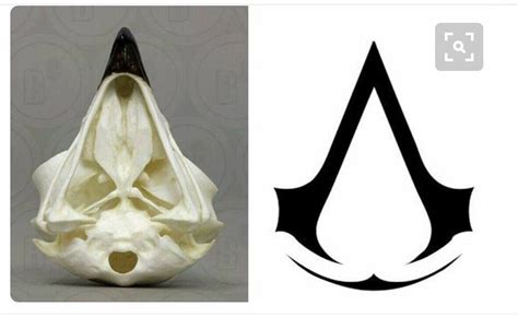 Symbol Assassins Creed Origins Logo Maquinadeha Blarpavadas