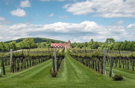 13 Top Charlottesville Wineries To Visit Charlottesville Wineries