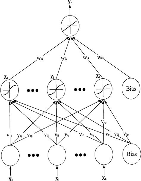 Schematic Of A Back Propagation Neural Network Download Scientific