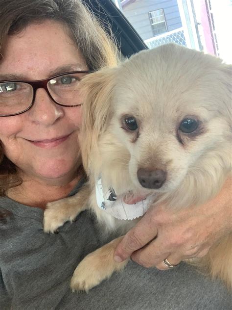 FURever Friends Fund - Animal Rescue - Home