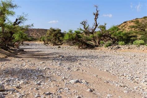 Despite lacking international recognition, somaliland has maintained its own independent government. Ausgetrockneter Fluss - Fotos | IMAGO
