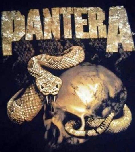 Pantera Classic Rock Music Poster ☮~ღ~~ ⊱╮ ﾚ O √ 乇 Rock N Roll