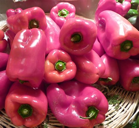 Pink Peppers By Fara Redbubble