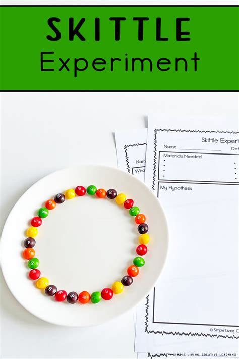 Skittles Rainbow Experiment Simple Living Creative Learning
