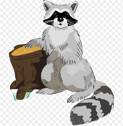 Free Download Hd Png Free Raccoon Clipart Raccoon Clip Art Free Png