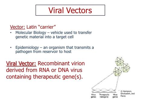 Final+ppt+viral+vectors+