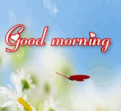 Good morning sun images download. Best Good Morning Gifs for Her Download for WhatsApp, Facebook - GifterGo