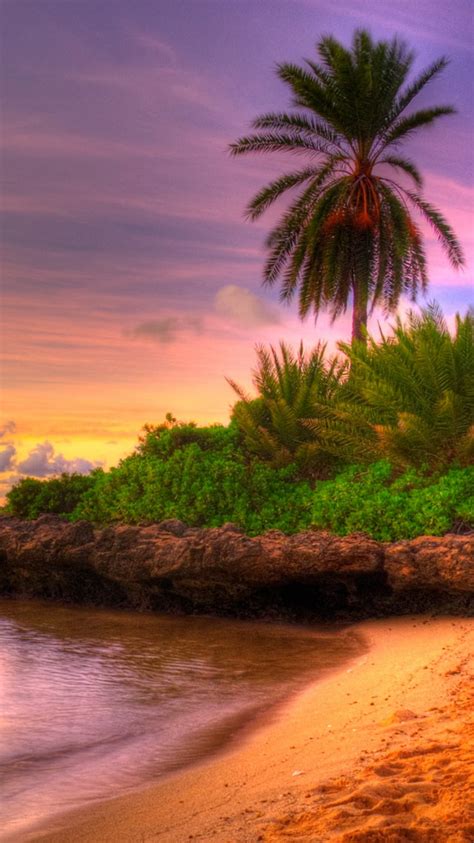 Beach Sunset Tropical Island Iphone 6 Wallpaper Hd Free