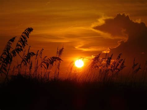 Sunset Evening Beach · Free Photo On Pixabay
