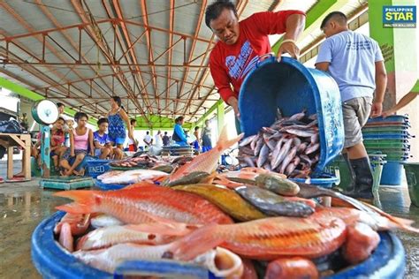 Department of aquaculture and fisheries management. Fisheries department needed to make local aquaculture a ...