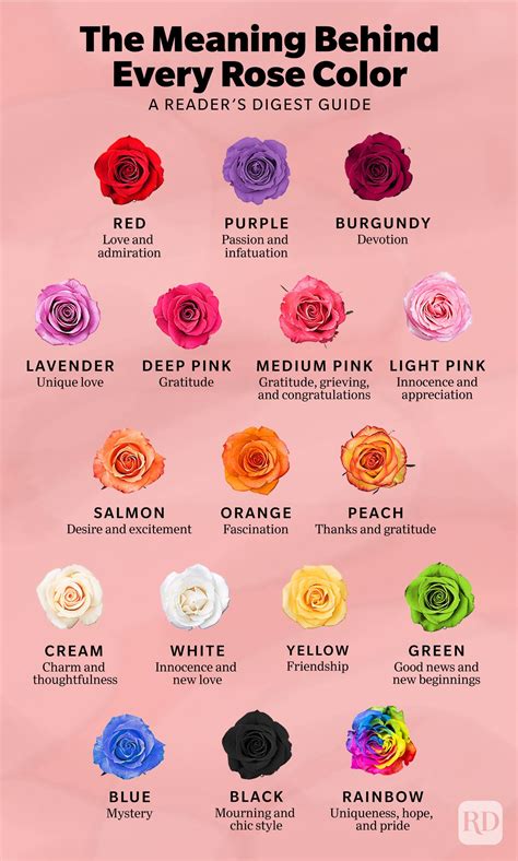 17 Meanings Of Rose Colors To Help You Pick The Perfect Bloom Every