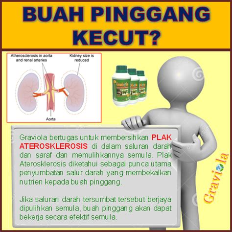 Namun di indonesia, buah dari halba ini masih sangat asing untuk didengar. Ubat Untuk Penyakit Darah Tinggi - Jurupulih