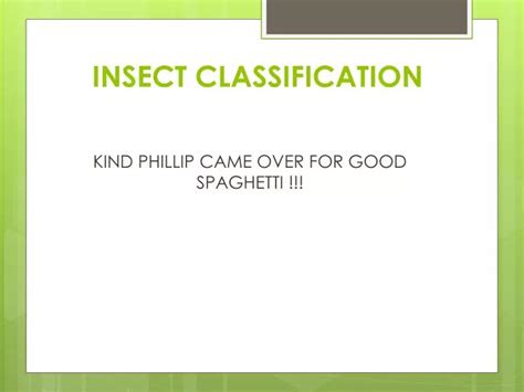 Ppt Insect Classification Powerpoint Presentation Free Download Id