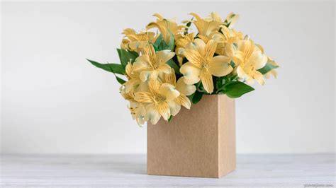 Yellow Flowers In A Box Image
