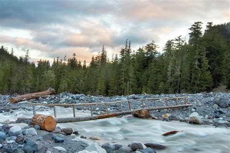 Nisqually River Photograph By Steven David Roberts