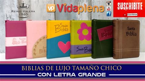 Biblias De Lujo Tamaño Chico Con Letra Grande Cierre Incorporado Rv60