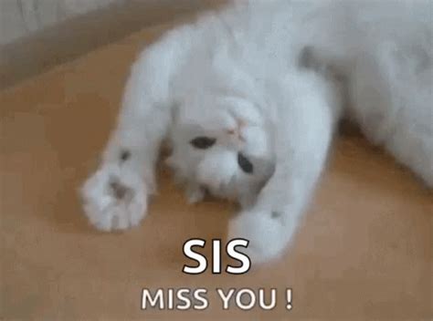 Miss You Gif Miss You Cat Discover Share Gifs