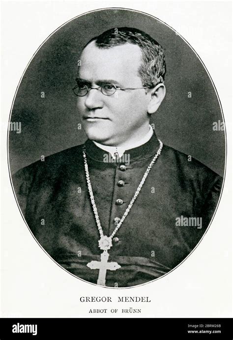 Gregor Mendel Retrato Del Científico Checo En C1855 Fraile Agustino