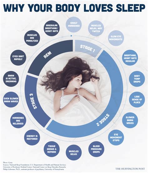 In Honor Of Clocks Forward And Sleep Awareness Week Sleep Health Stages Of Sleep Body Health