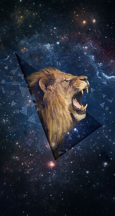 41 Best ♥galaxy♥lion Images On Pinterest Wallpapers Lion And Animales