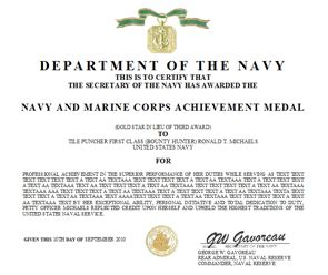 We did not find results for: Navy Marine Corps Achievement Medal