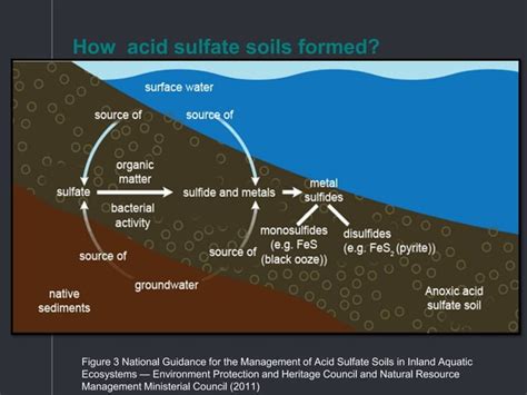 Acid Sulphate Soil Ppt