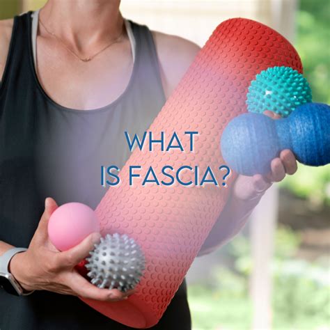 What Is Fascia Beyond The Studio Pilates
