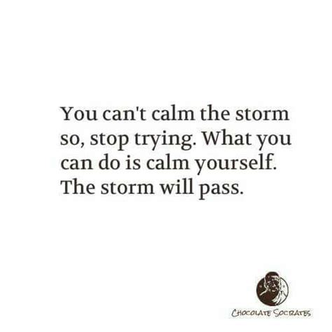 A Quote That Says You Cant Calm The Storm So Stop Trying What You Can
