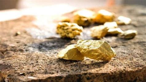 compañía canadiense reporta mayor producción de oro en una mina de santa cruz periodico el
