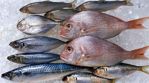 Ciguatera Toxin Ciguatera Fish Poisoning Symptoms And Ciguatera Treatment