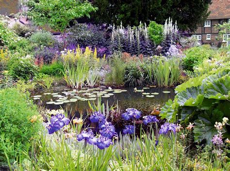 Monty Don Shows How To Create A Wildlife Pond Garden Pond Design Pond Plants Ponds For Small