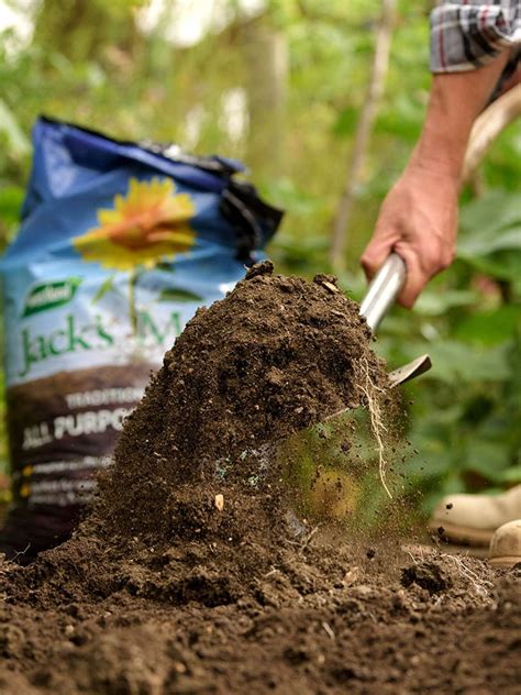 Westland Jacks Magic All Purpose Compost 60l — Mid Ulster Garden Centre