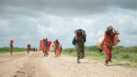 Understanding Disaster Related Displacement From The Horn Of Africa