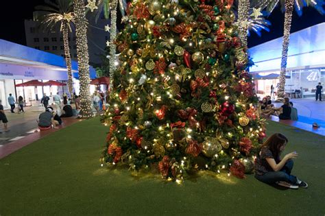 Beach christmas are celebration essentials that you must opt for if you desire superior decoration during the holidays. Christmas Tree Decorations With Palm Trees Miami Beach ...