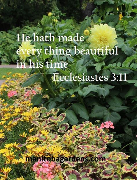 Bible Verses About Flowers And Gardens A Walk In The Garden Todays