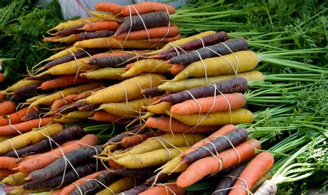 Grow Carrots In A Vertical Garden Thriving Vegetables