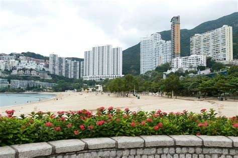 A View Of A Beach With Flowers In The Foreground And Buildings In The