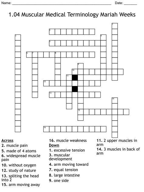104 Muscular Medical Terminology Mariah Weeks Crossword Wordmint