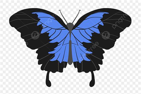 Blue Butterfly Clipart Transparent Png Hd Black Blue Butterfly Cartoon Illustration Black Blue