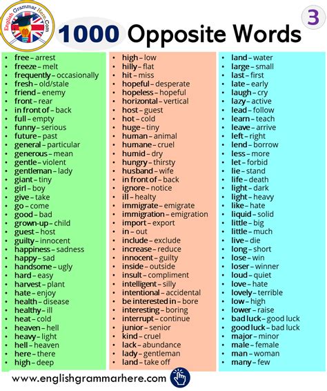 1000 Parole Più Usate In Inglese - 1000 Opposite Words List - English Grammar Here